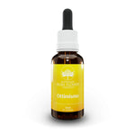 Australian Bush Flower Ottimismo | Essenza Floreale Combinata | 30 ml