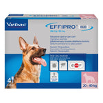 EFFIPRO DUO*4PIP 20-40KG CANI