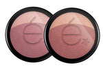 ROUGJ BLUSH 02