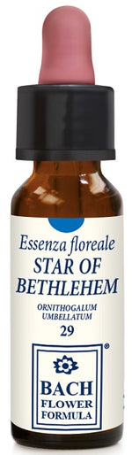 STAR OF BETHLEHEM 10ML GTT