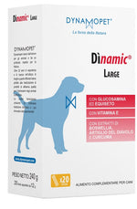 DINAMIC LARGE 20STICK 12G