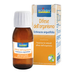 ECHINACEA ANGUST 4CH GR 4G
