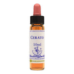 CERATO ESSENZA 10ML