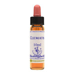 CLEMATIS ESSENZA 10ML