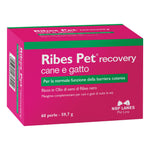 RIBES PET RECOVERY 60PRL