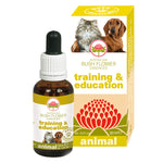 TRAINING & EDUCATION 30ML