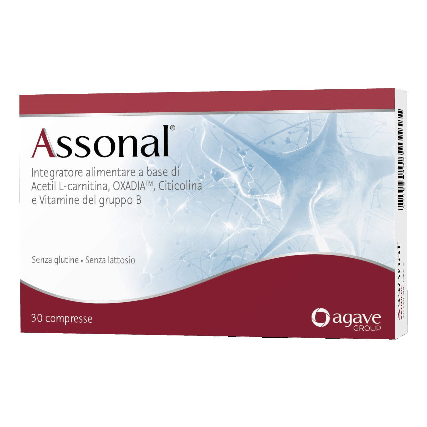integratori di acetil l carnitina Assonal | Acetil Carnitina Citicolina Sistema Nervoso
