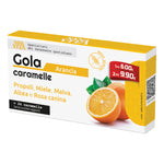 SANAVITA GOLA MIELE&LIM 24CPR