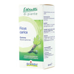 FICUS CARICA BOIRON MG 60ML