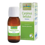 CARPINUS BET BOIRON MG 60ML