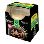 Alontan Candela Insetticida Zanza Break 75g