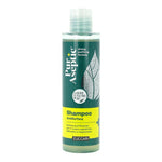 PURASEPTIC SHAMPOO PURIF ANTIF
