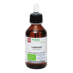 LAMPONE MG 100ML BIO