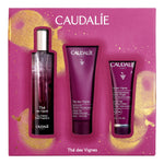 TDV COFANETTO NATALE 2024