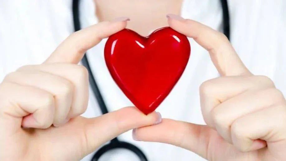 Taurisolo®: un alleato per cuore, cervello e difese immunitarie