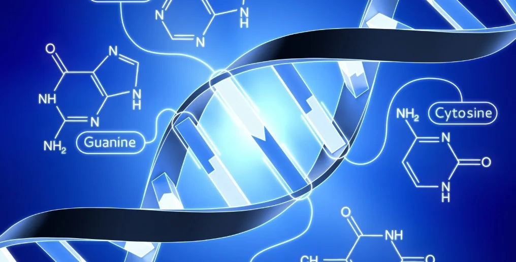 I prodotti XLS: efficacia e precauzioni d'uso