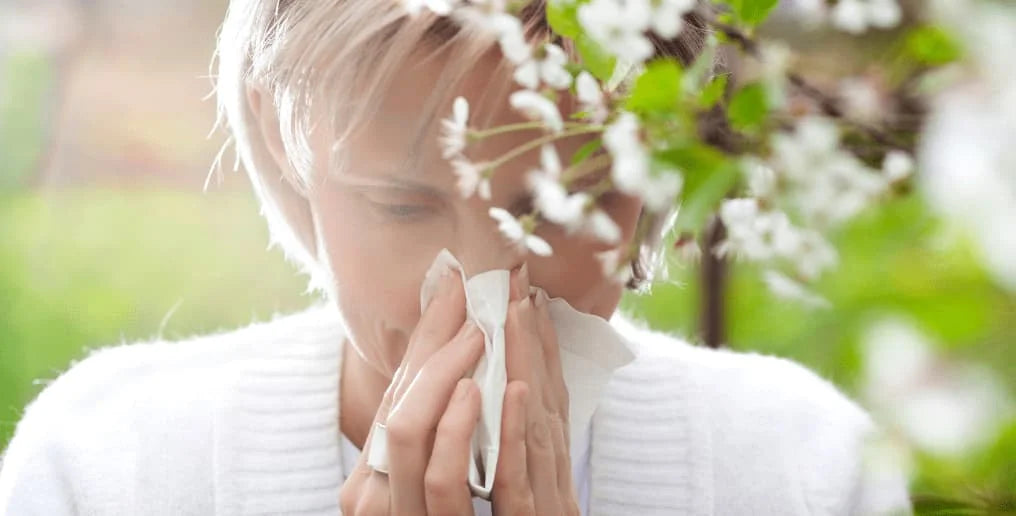 Allergia stagionale: Scopriamo insieme i rimedi più efficaci