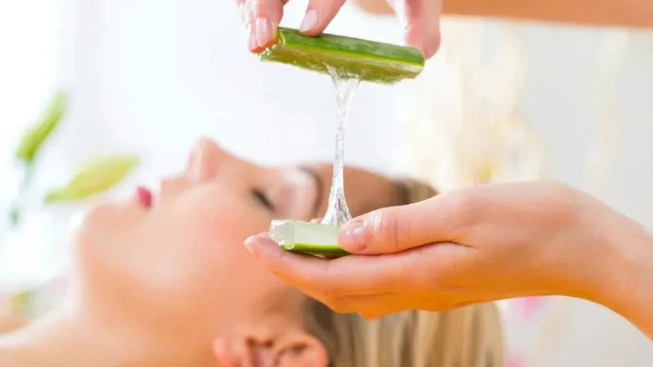 Aloe Vera - Integrazione e Cosmetica