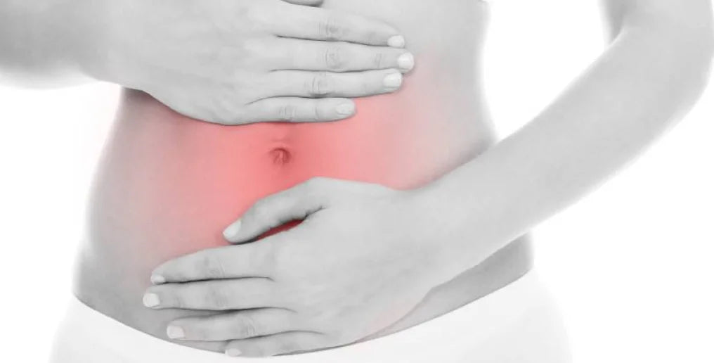 Microbiota e Microbiocheck