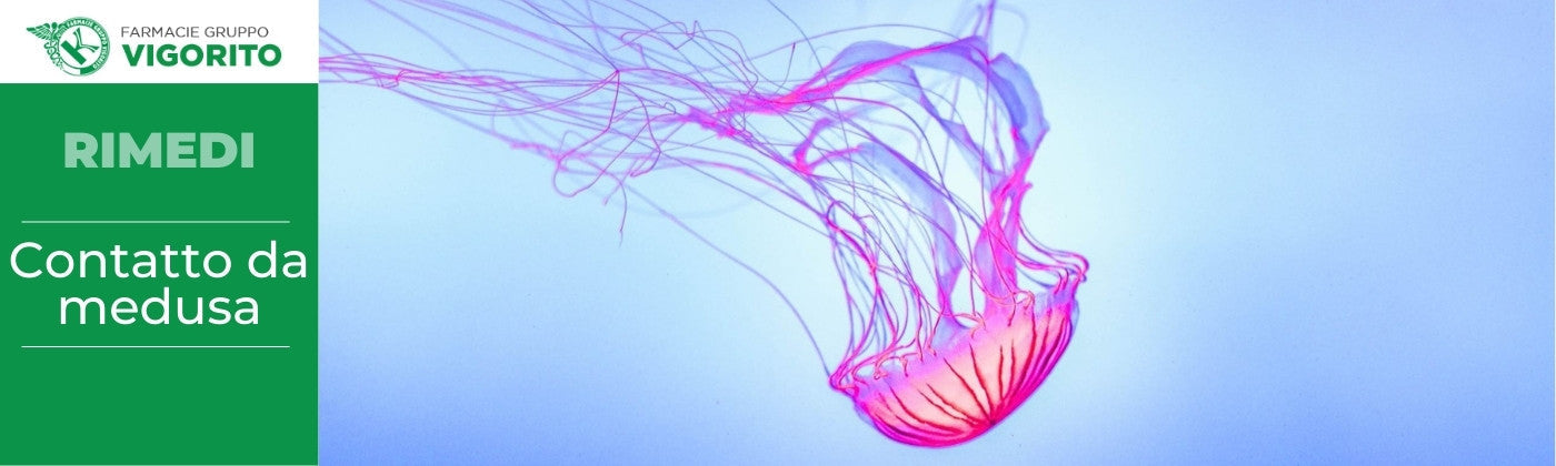 Contatto da medusa