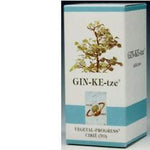 GINKETZE BIO 80TAV 600MG  