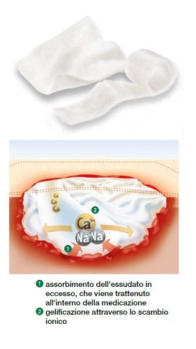 SUPRASORB A COMPR 10X10CM 10PZ
