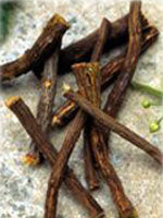 TSA GLYCYRRHIZA GLABRA 50ML  