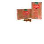 SCHISANDRA 20AMPOLLE  