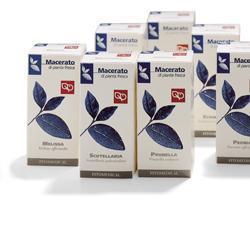 AMAMELIDE TM 100ML  