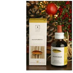 ZENZERO 50ML STV  