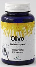 OLIVO 60CPS  