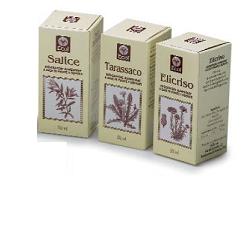 TE VERDE 50ML GTT
