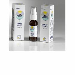 NOMABIT ROCK ROSE 20ML
