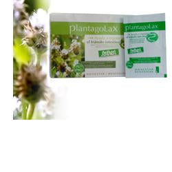 PLANTAGOLAX 20BUST
