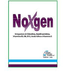 NOXGEN 15BUST  