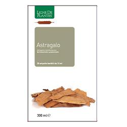 ASTRAGALO 20AMPOLLE 15ML  