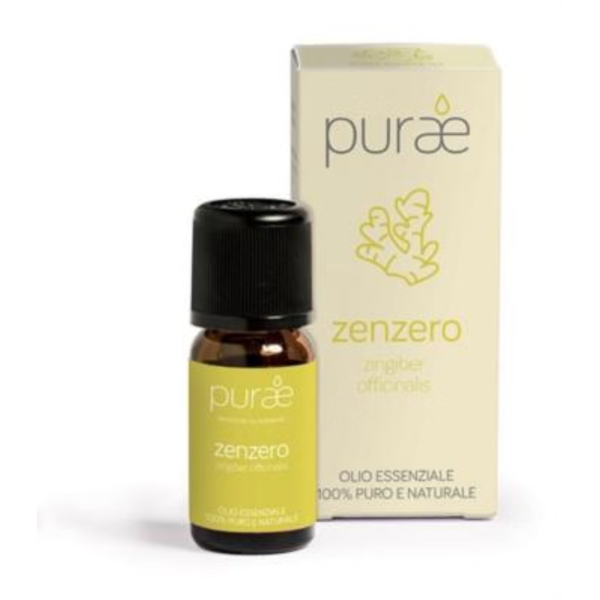 Purae Zenzero | Olio Essenziale Antinausea Digestivo | 10ml  