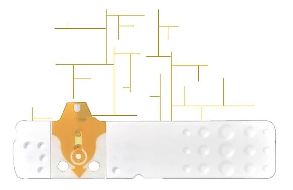 LINEA D ORO 50STR GLICEMIA  