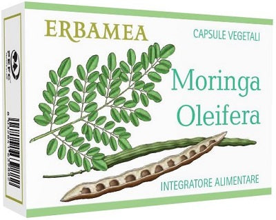 MORINGA OLEIFERA 24CPS
