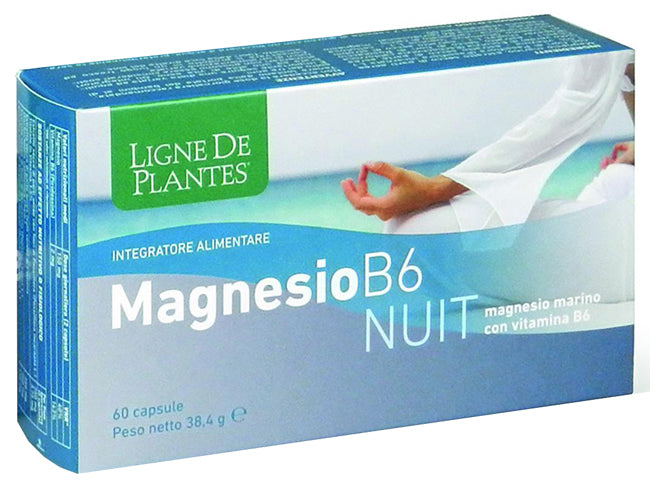 MAGNESIO B6 NUIT 60CPS
