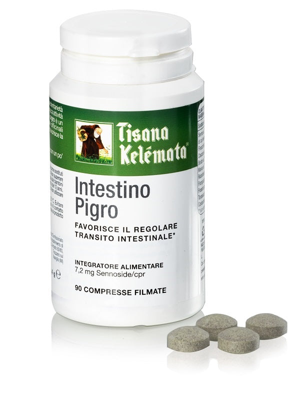 TISANA INTESTINO PIGRO 90CPR  