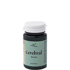 CEREBRAL AYURVED 60CPS
