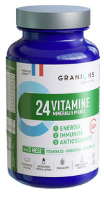 GRANIONS 24 VIT MIN PIANT90CPR  