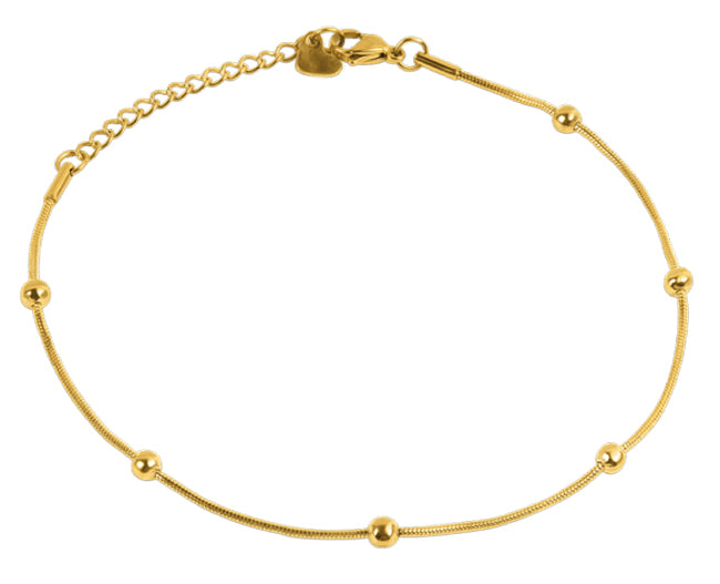 MARGUTTA CAVIGLIERA ARMONIA