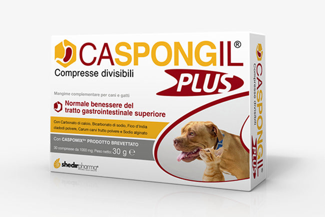 CASPONGIL PLUS 30CPR
