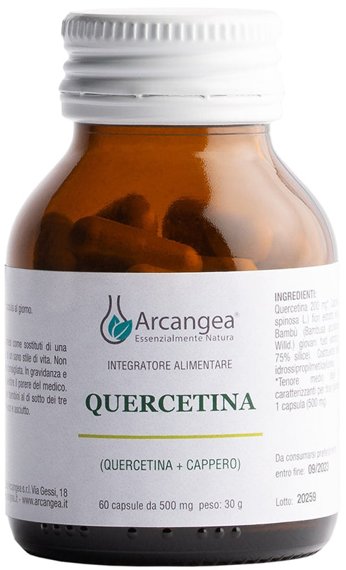 QUERCETINA 60CPS 500MG  