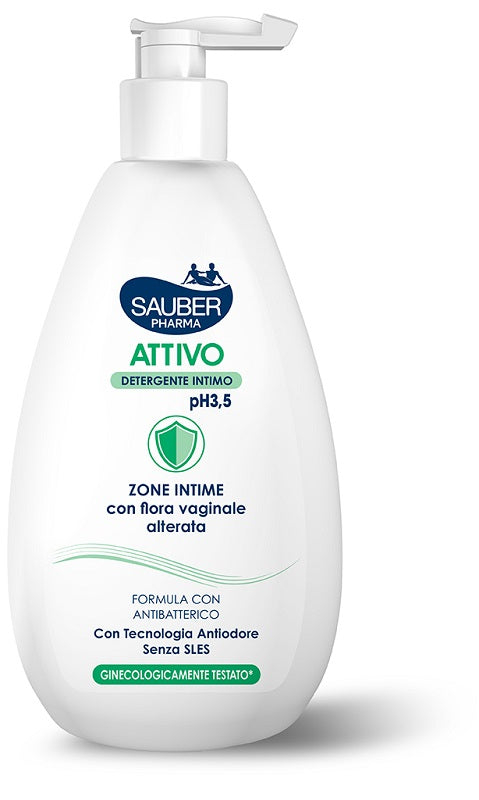 SAUBER DETERGENTE INT ATT500ML
