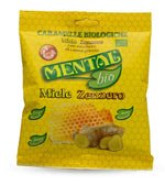 MENTAL BIO MIELE ZENZERO 90G  