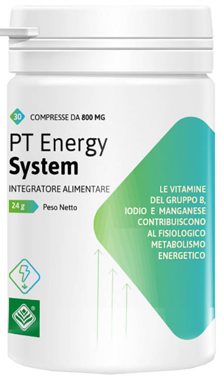 PT ENERGY SYSTEM 30CPR
