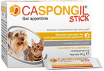 CASPONGIL STICK 20Stick Pack  